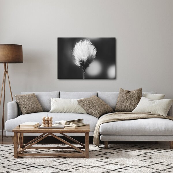 Slika - Crno-bijela pamučna trava (70x50 cm)