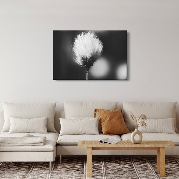 Slika - Crno-bijela pamučna trava (90x60 cm)