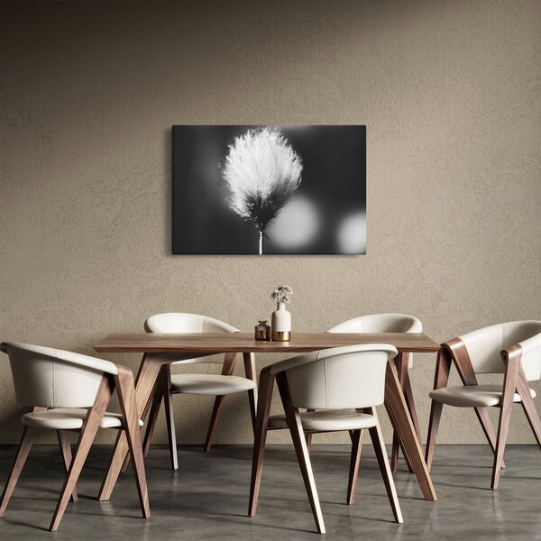 Slika - Crno-bijela pamučna trava (90x60 cm)