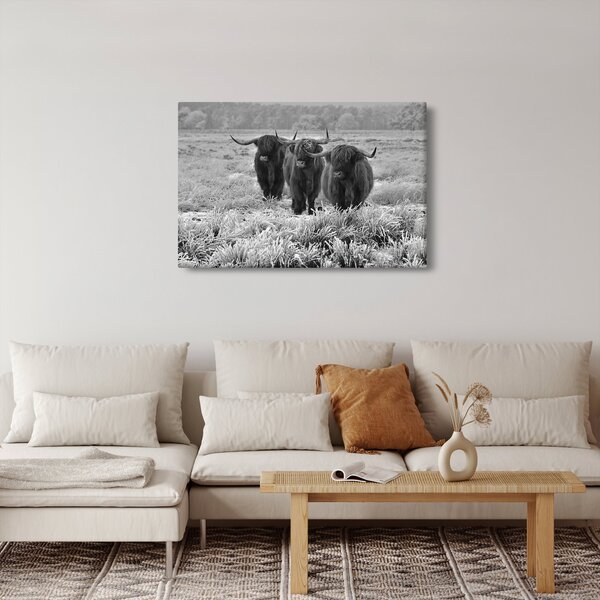 Slika - škotske krave (90x60 cm)