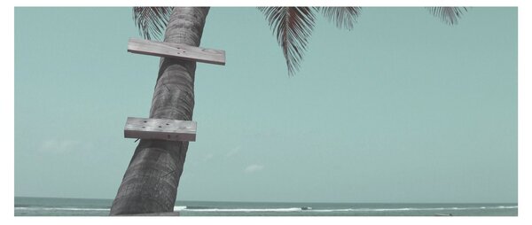 Slika - Palma na Karibima (120x50 cm)