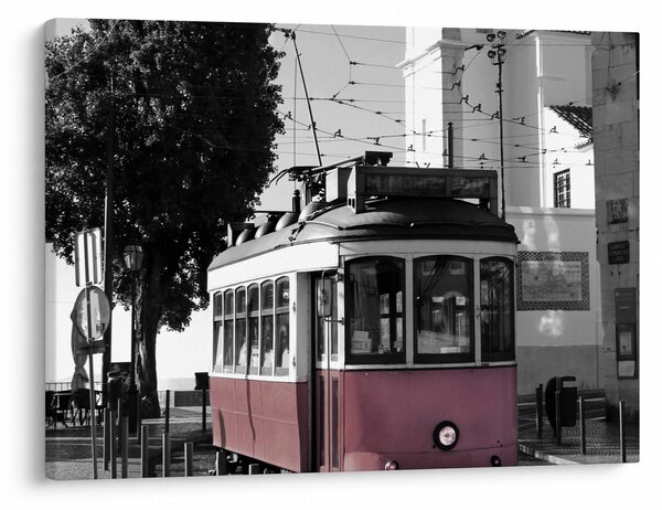 Slika - Tramvaj (70x50 cm)