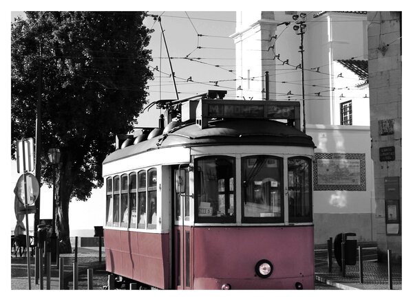 Slika - Tramvaj (70x50 cm)