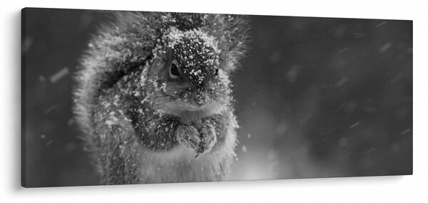 Slika - Vjeverica zimi (120x50 cm)