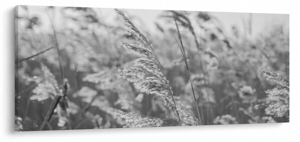 Slika - Trava na vjetru (120x50 cm)