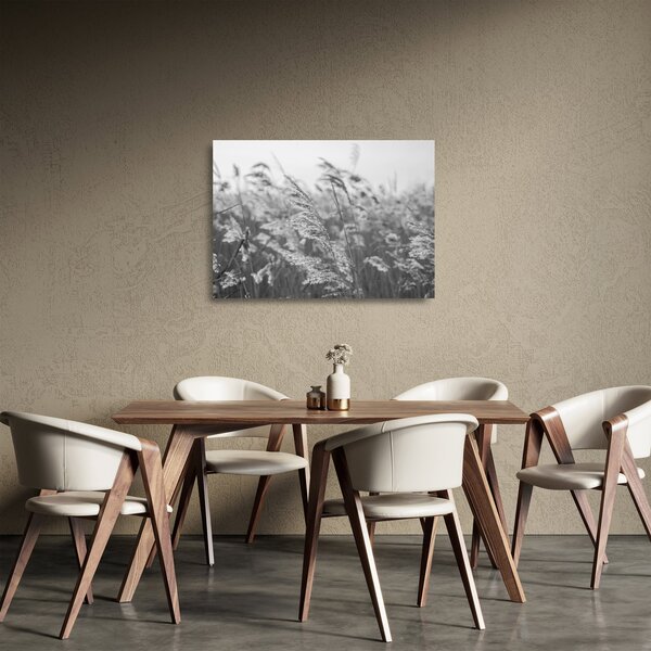 Staklena slika - Trava na vjetru (70x50 cm)