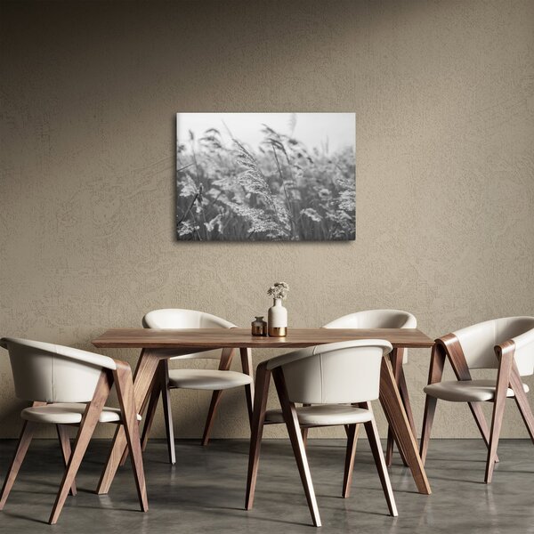 Slika - Trava na vjetru (70x50 cm)