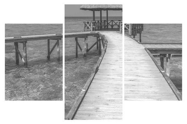 Slika - Maldivi (90x60 cm)
