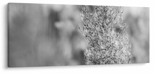 Slika - Boho pampas trava (120x50 cm)