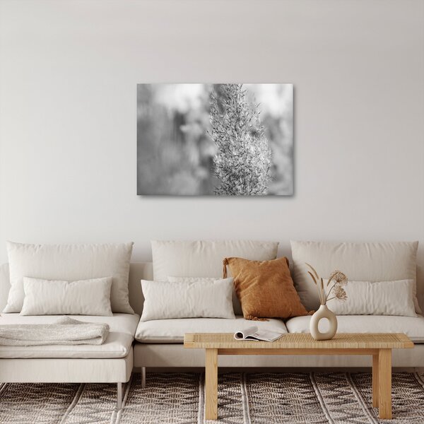 Slika - Boho pampas trava (70x50 cm)