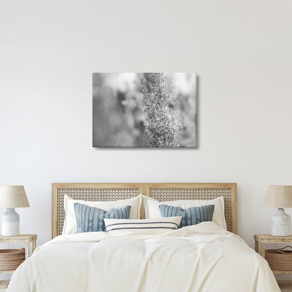 Slika - Boho pampas trava (70x50 cm)