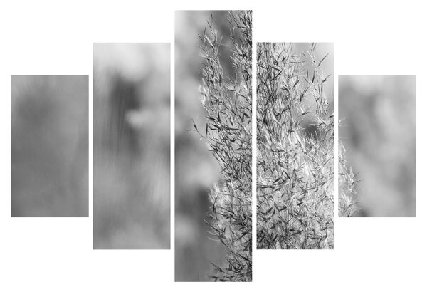 Slika - Boho pampas trava (150x105 cm)