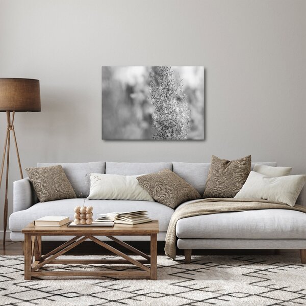 Slika - Boho pampas trava (70x50 cm)