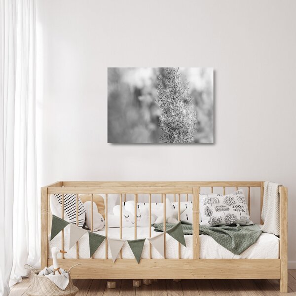 Staklena slika - Boho pampas trava (70x50 cm)