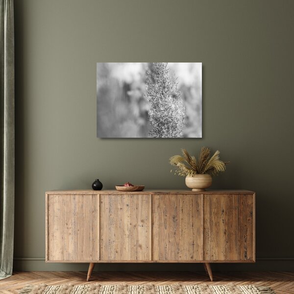 Staklena slika - Boho pampas trava (70x50 cm)