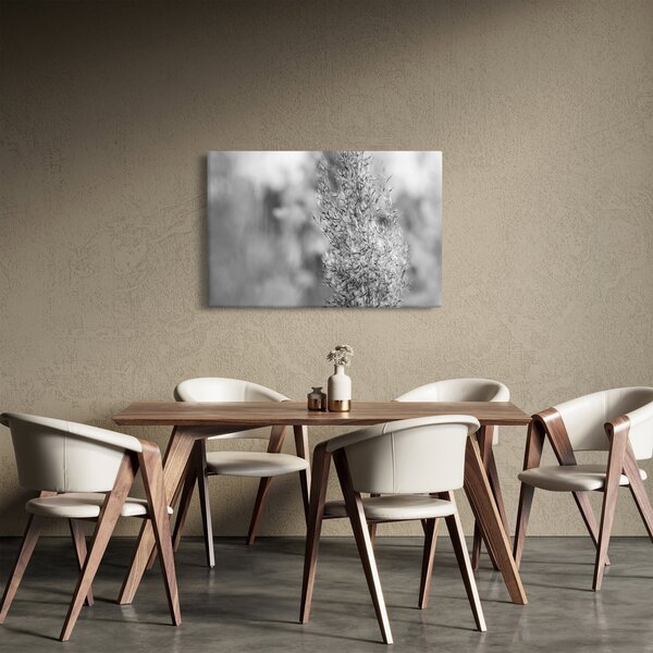 Slika - Boho pampas trava (90x60 cm)