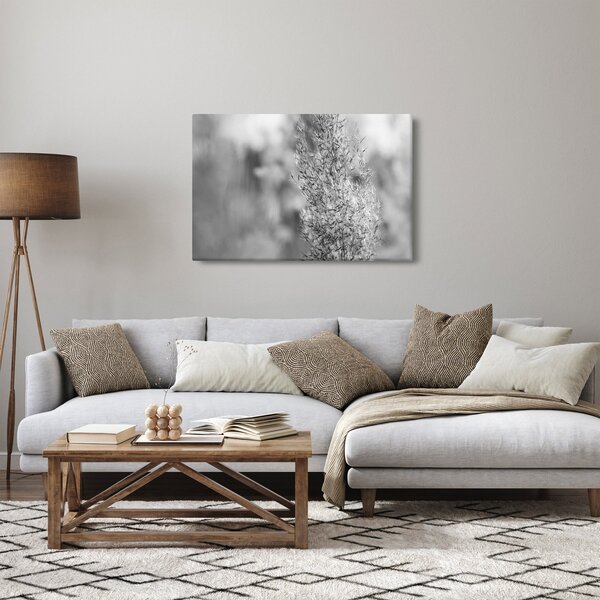 Slika - Boho pampas trava (90x60 cm)