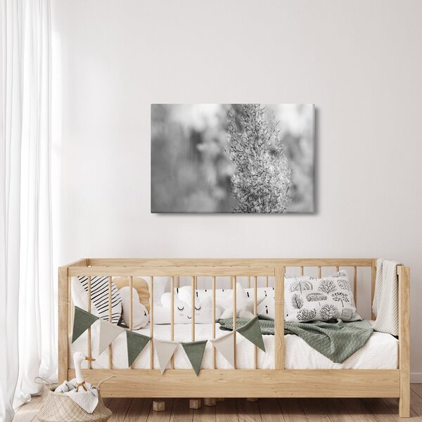 Slika - Boho pampas trava (90x60 cm)