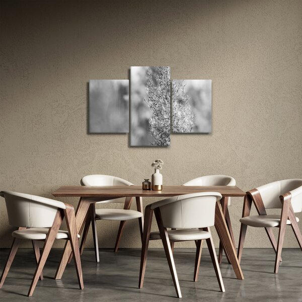Slika - Boho pampas trava (90x60 cm)