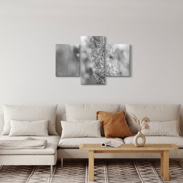 Slika - Boho pampas trava (90x60 cm)