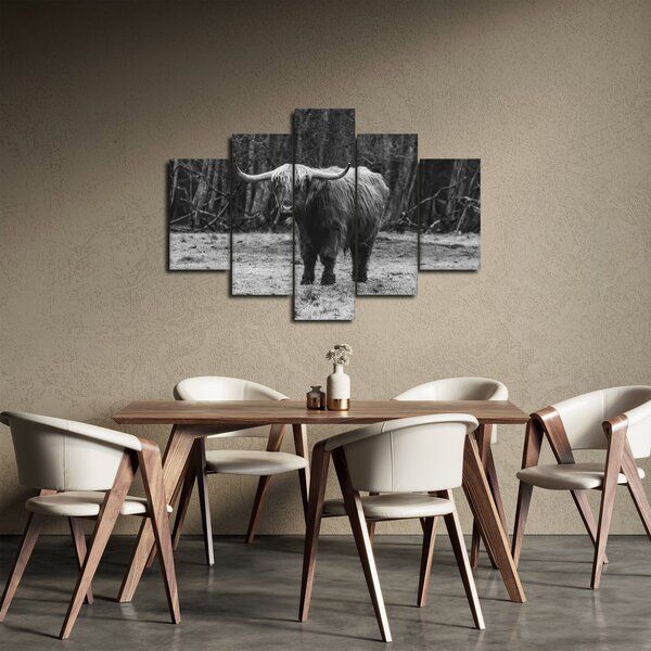 Slika - škotska krava (150x105 cm)