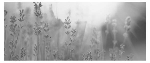 Slika - Lavanda (120x50 cm)