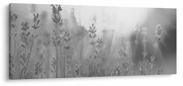 Slika - Lavanda (120x50 cm)