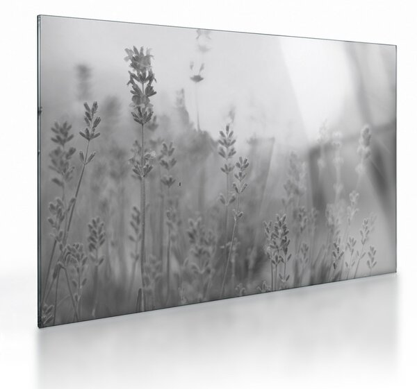 Staklena slika - Lavanda (70x50 cm)