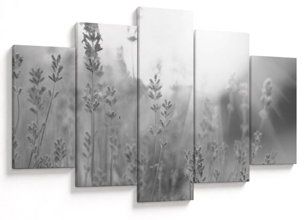 Slika - Lavanda (150x105 cm)