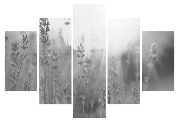 Slika - Lavanda (150x105 cm)