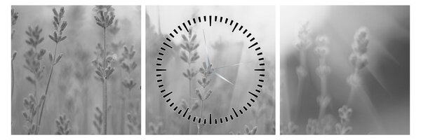Slika - Lavanda (sa satom) (90x30 cm)