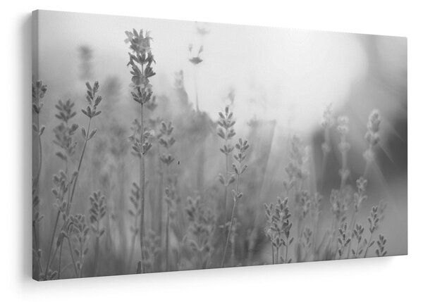 Slika - Lavanda (90x60 cm)