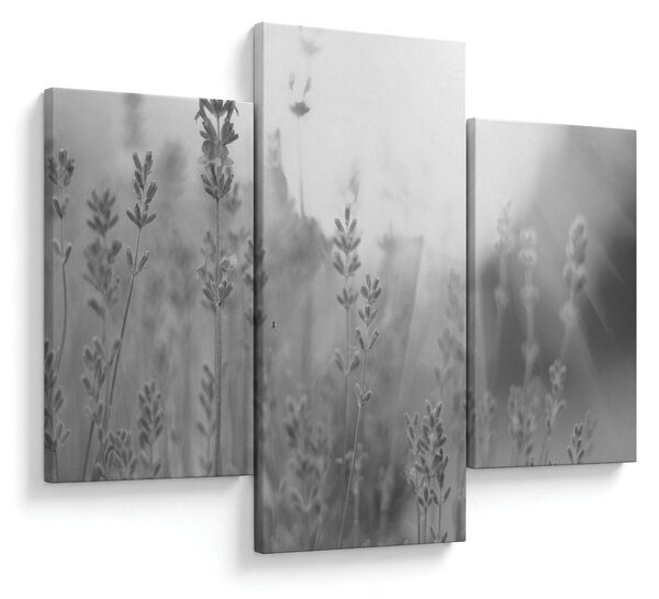 Slika - Lavanda (90x60 cm)