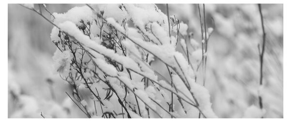 Slika - Snježene grane (120x50 cm)