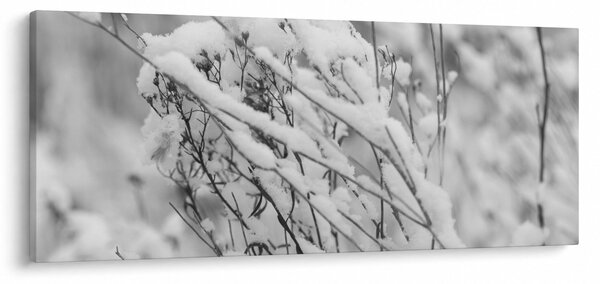 Slika - Snježene grane (120x50 cm)
