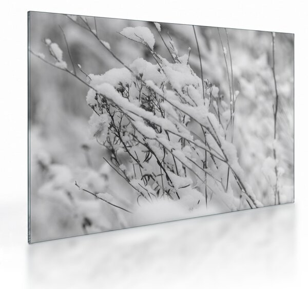 Staklena slika - Snježene grane (70x50 cm)