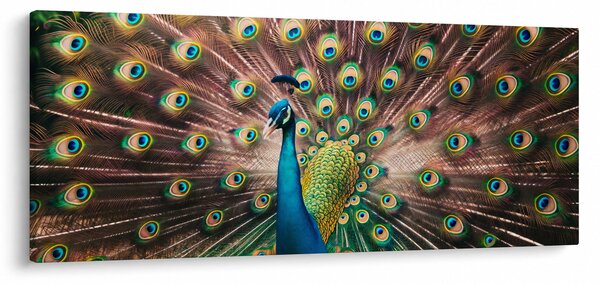 Slika - Paun (120x50 cm)