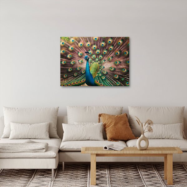 Slika - Paun (70x50 cm)