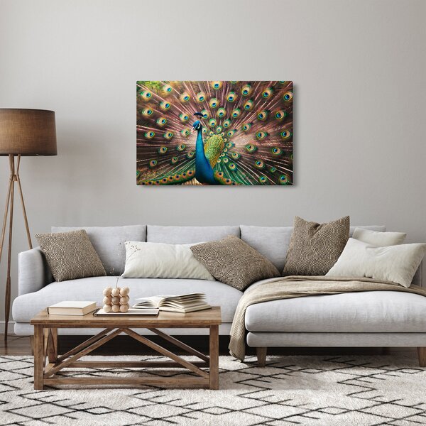 Slika - Paun (90x60 cm)