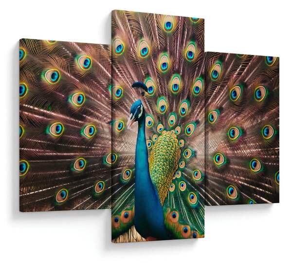 Slika - Paun (90x60 cm)