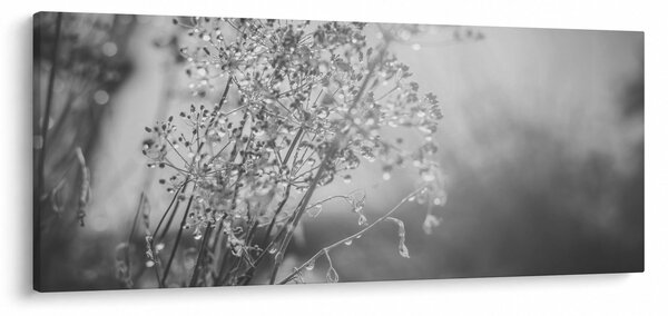 Slika - Livada poslije kiše (120x50 cm)