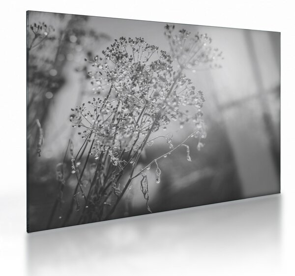 Staklena slika - Livada poslije kiše (70x50 cm)