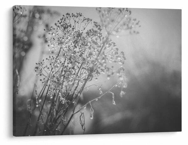 Slika - Livada poslije kiše (70x50 cm)