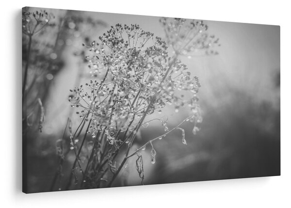 Slika - Livada poslije kiše (90x60 cm)