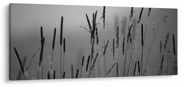 Slika - Vlati trave (120x50 cm)