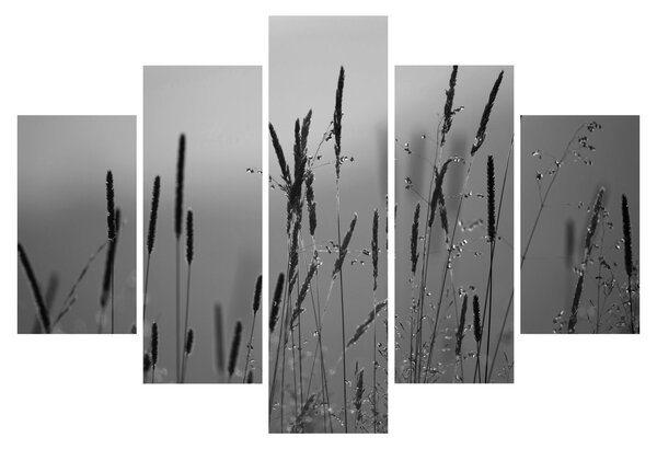 Slika - Vlati trave (150x105 cm)