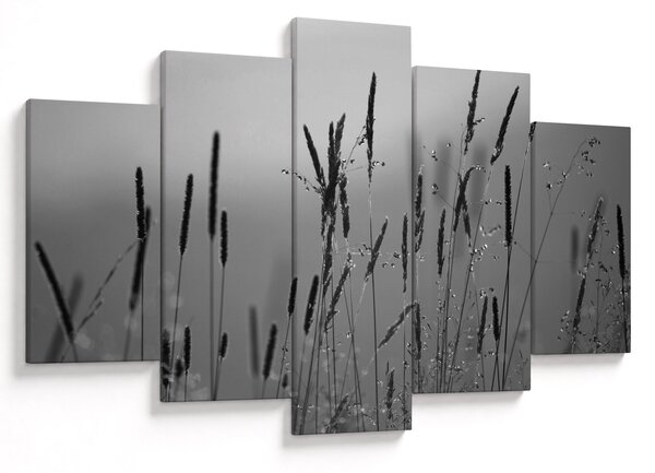 Slika - Vlati trave (150x105 cm)