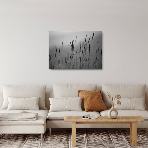 Staklena slika - Vlati trave (70x50 cm)