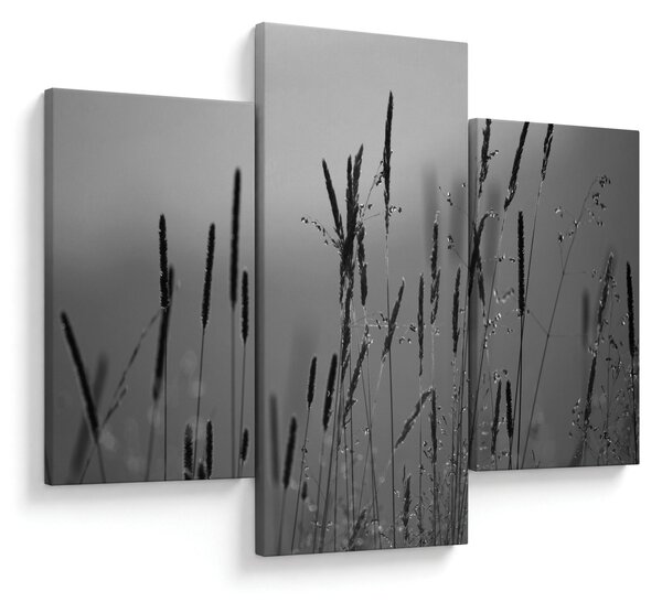 Slika - Vlati trave (90x60 cm)