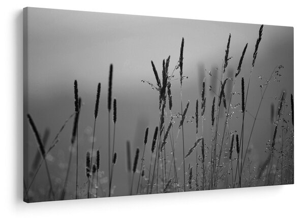 Slika - Vlati trave (90x60 cm)